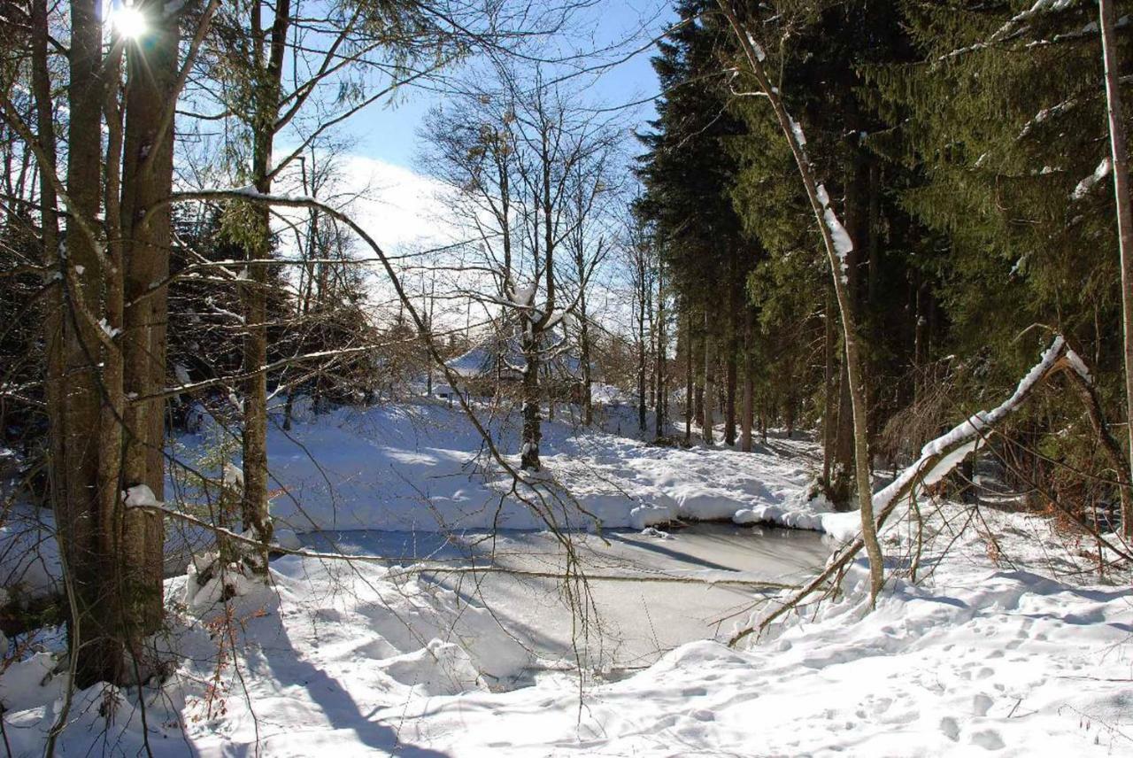 Pension "Bayerwald" Frauenau Zewnętrze zdjęcie