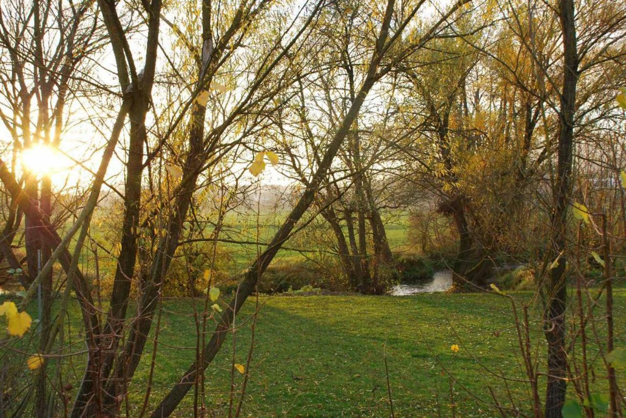 Pension "Bayerwald" Frauenau Zewnętrze zdjęcie