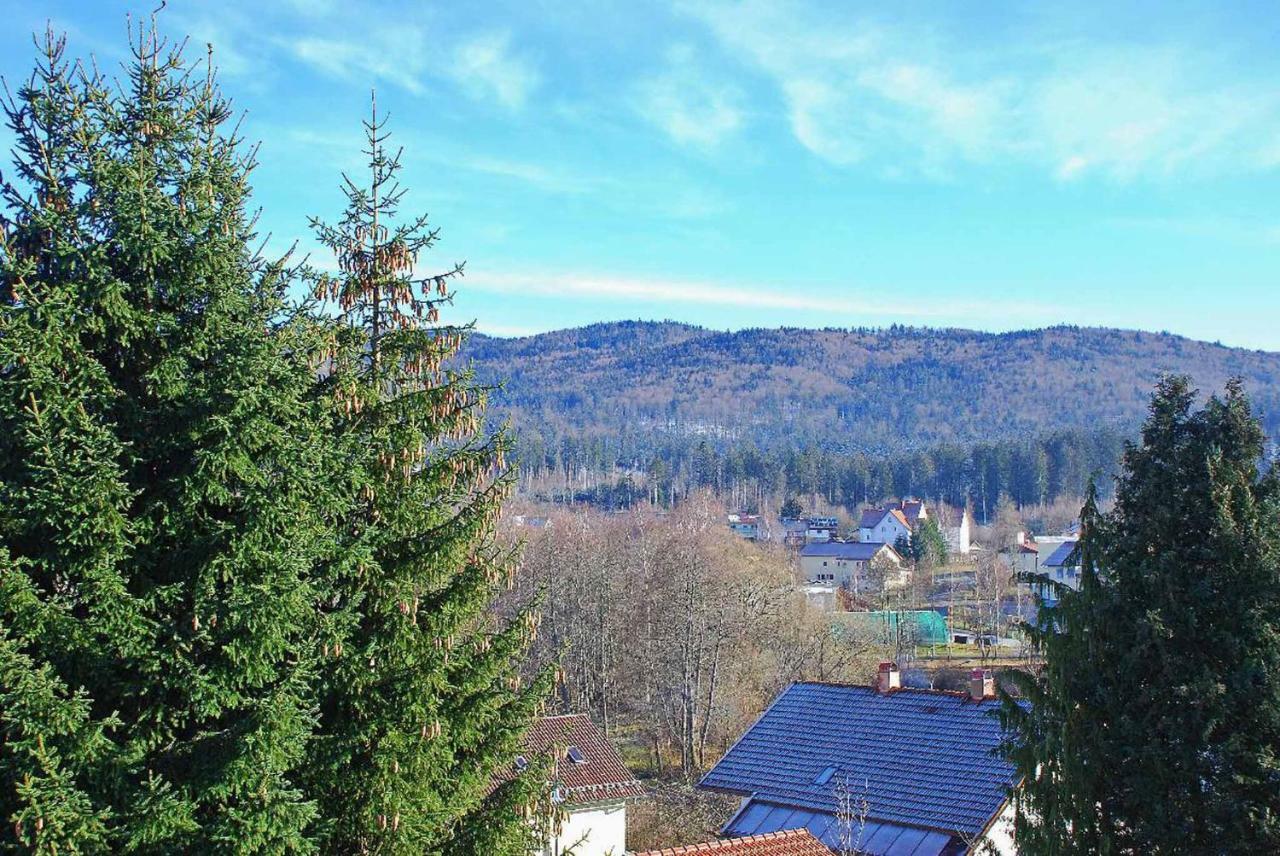 Pension "Bayerwald" Frauenau Zewnętrze zdjęcie